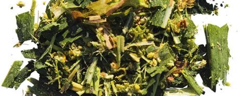 Claas kauft Shredlage Technologie | agrarheute.com