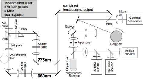 Image result for Source Tree Review