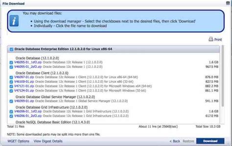 Image result for Oracle Database Software Download