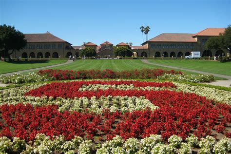 Image result for Stanford Open Course