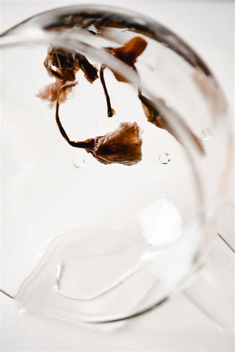 Chocolate Splash Photography Tutorial 的图像结果