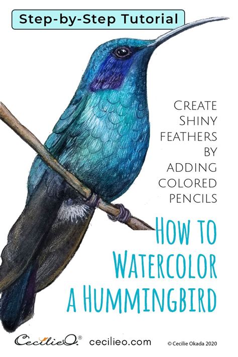 Image result for Simple Hummingbird Watercolor Tutorials