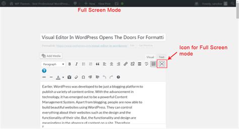 Top 3 Efficient Ways To Work On Content Writing In WordPress