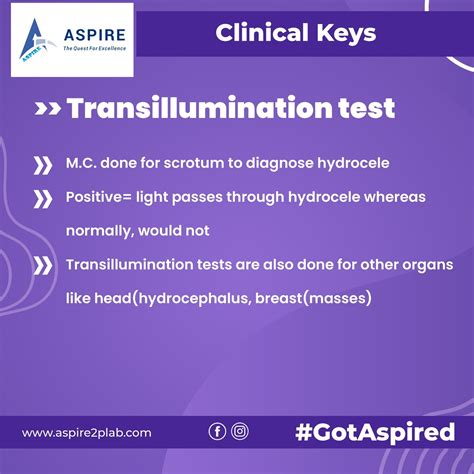 Image result for Transillumination Test Testis