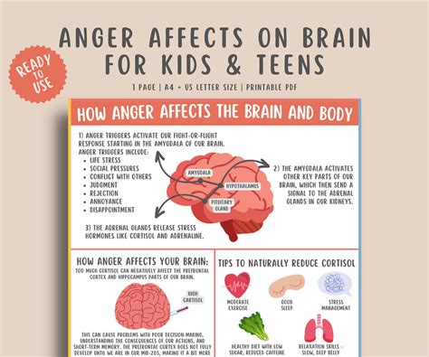 Anger Affects on Brain & Body Handout for Kids & Teens – MindSpace