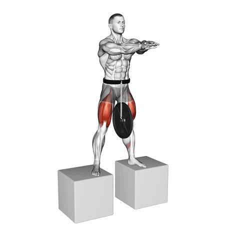 8 Best Types of Squat Variations (with Pictures!) - Inspire US