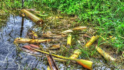 4 people dies due to drowning while bathing in the canal, banana tree ...