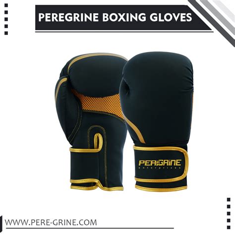 Basic Boxing Equipment 的图像结果