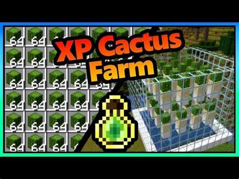 Image result for Working XP Farms 1.17 Java