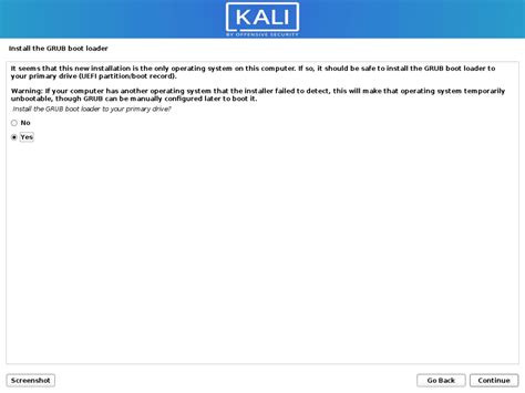 Image result for Kali Linux Install Selection