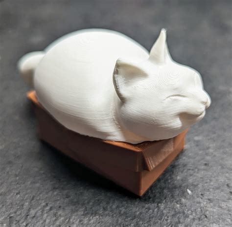 3D print Cats in Boxes • made with Bambu X1 Carbon・Cults