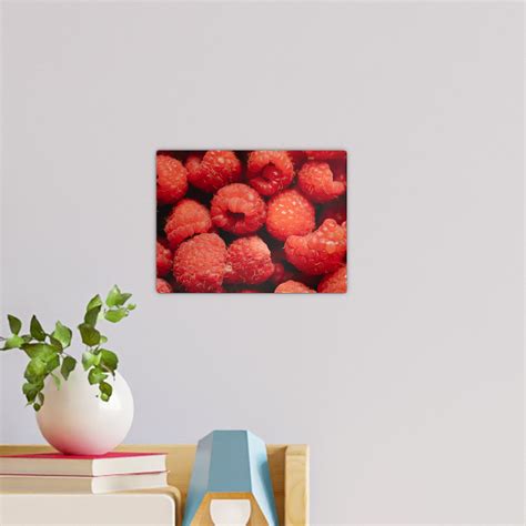 Image result for Raspberry Wall Color