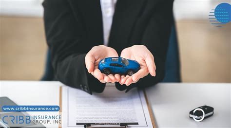 Basic Auto Insurance 的图像结果