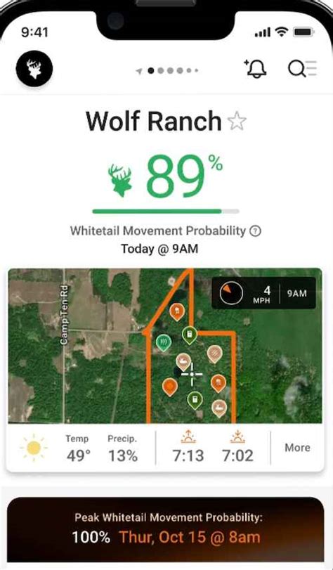 Prime Deer Feeding Times: Maximize Your Hunting Success