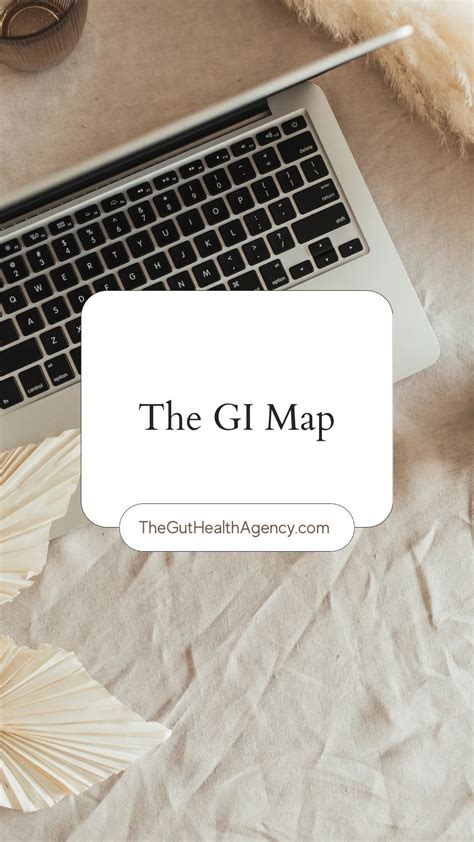 Chelsea Haines | Gut Health, Nervous System, Abundance Mindset ...