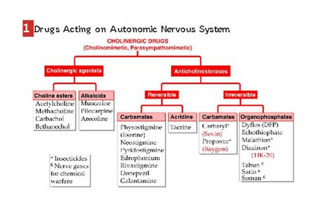 Drugs Acting on Autonomic Nervous System: Classification Notes - Studocu