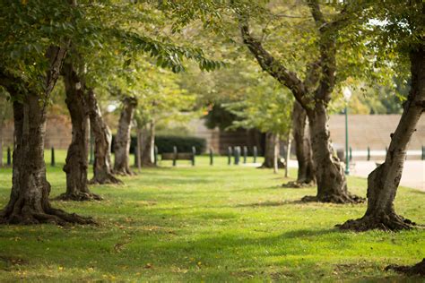 Outside 的图像结果