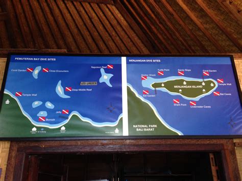 Pemuteran Bali Scuba Diving A Must Do