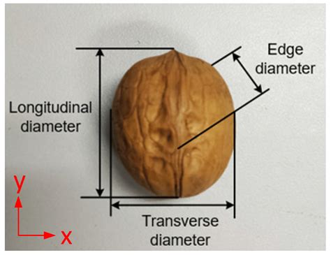 Construction and Verification of Spherical Thin Shell Model for ...