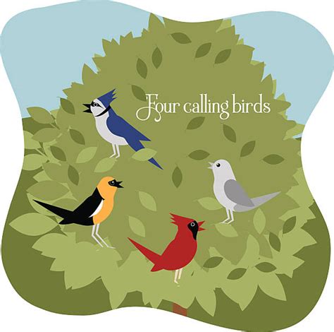 1,800+ Bird 4 Letters Stock Photos, Pictures & Royalty-Free Images - iStock