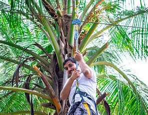 Resorts in Ramanagara | Wild Valley Mountain Bear