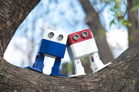 A Remote Control Robot Kit for Adults and Hobbyists - B...