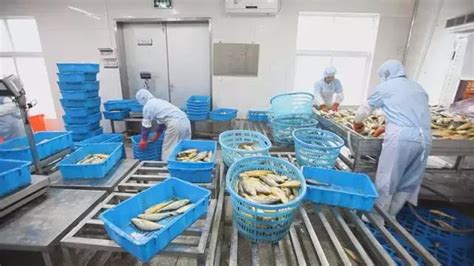 国鱼计划 | 宁德大黄鱼全产业链如何发展？这场研讨会很有“料”-大梦蕉城