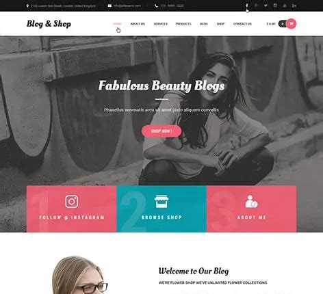 Blog and Shop WordPress Theme for Affiliate Marketers