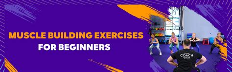 Top 10 Muscle-Building Exercises for Beginners
