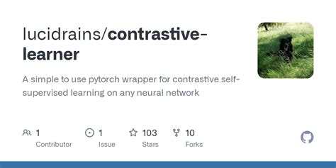 Image result for Pytorch Code Contrastive Learning