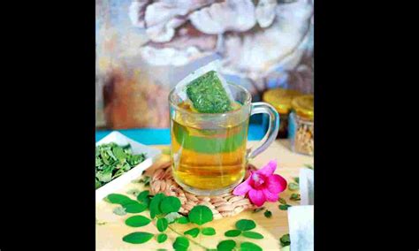 Moringa Tea: 6 Health Benefits You Should Know