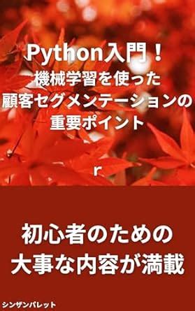 Introduction to Python Key points of customer segmentation using ...