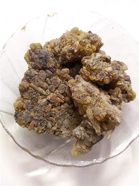 Ambe Ayurveda - Guggul - Guggal - Gugal - Gugula for Pooja Hawan Dhoop ...