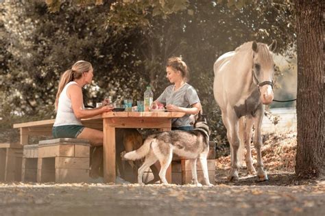 Image result for Communication Cheval