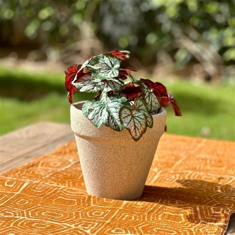 Garden Gleams White Planter Pot Set of 2 – Amalfiee Ceramics
