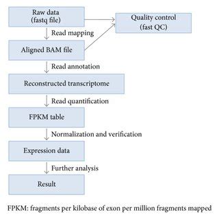 RNA Transcript Graph 的图像结果