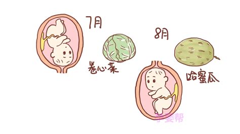 孕17周的宝宝跟什么水果差不多大对比图（每个月的胎儿，都像什么水果？几张图告诉你，很有趣） | 说明书网