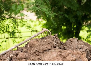 Image result for Hoe Problem