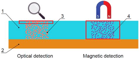 Towards Lateral Flow Quantitative Assays: Detection Approaches