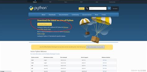 Python Project 官网 的图像结果