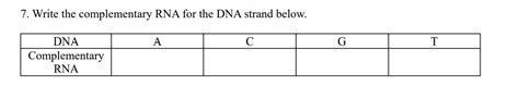 Solved Write the complementary RNA for the DNA strand below. | Chegg.com