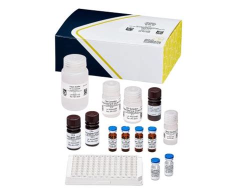 Image result for How to Test CP4