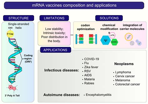 RNA Vaccines: Yeast as a Novel Antigen Vehicle