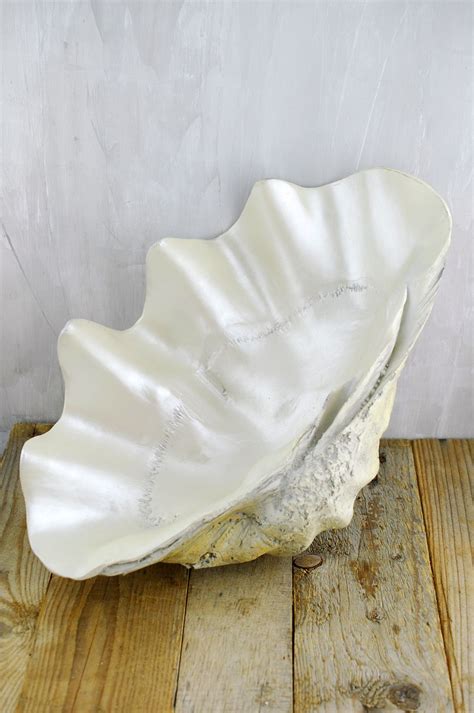 Large Clam Shell Bowl 17.5in | Save on crafts, Shells, Coastal decor