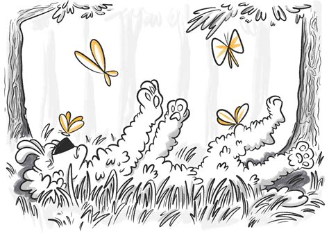 What Is The Treatment For Jaundice In Dogs