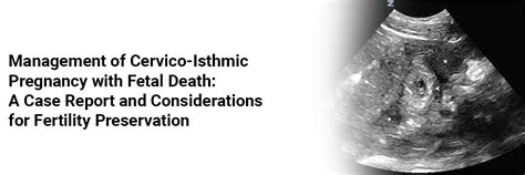 Management of Cervico-Isthmic Pregnancy with Fetal Death: A Case Report ...