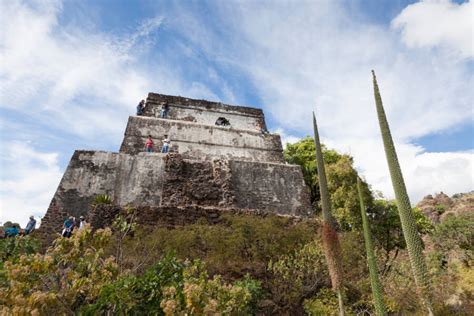 Aztec Pyramids 的图像结果