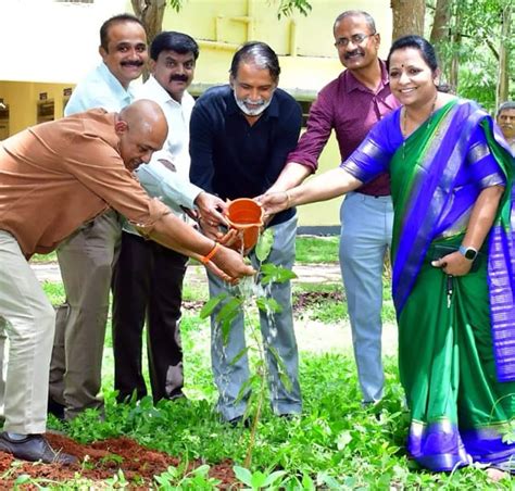 green courtyard campaign launched to mark world environment day | Green ...