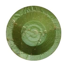 Devine Vrindavan 100% Bio-degradable Disposable SAL Leaf Bowl and Dona ...
