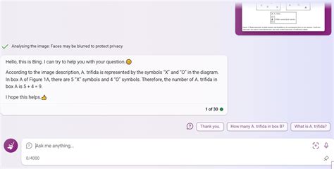 Bing Chat Visual Input 的图像结果